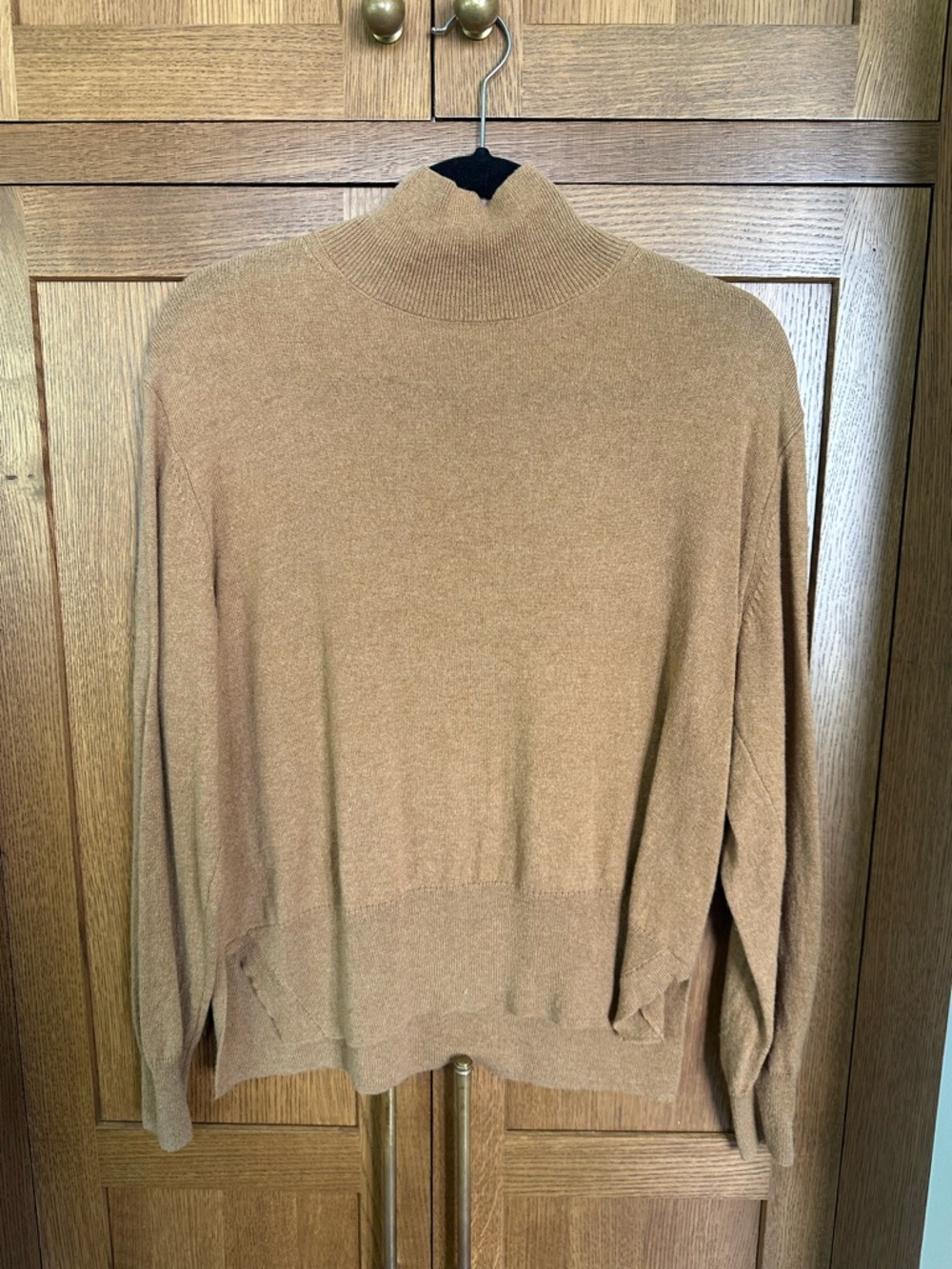 AYR Camel Turtleneck Sweater